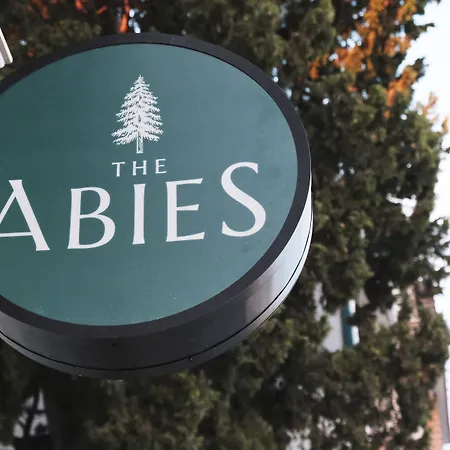 Hotel The Abies *